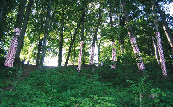 © Serena Amrein, Warnband, Kunst am Schlossberg, Lenzburg (CH) 2006