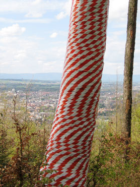 © Serena Amrein, Warnband, art-picnic Gurten, Bern (CH) 2008