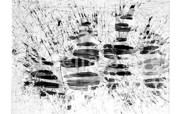 © Serena Amrein, Explosion 2. 1995, Tusche auf Papier, 146 × 200 cm