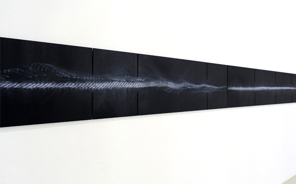 © Serena Amrein, time line. 2022, Weißes und lilafarbenes Pigmentpulver auf vier schwarz durchgefärbten MDF Platten mit 6 mm breiten Einschnitten, 51 × 1016 × 1 cm (vierteilig), edition & galerie hoffmann, Ossenheim-Friedberg (D)