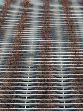 © Serena Amrein, welcome. 2002, Metallrost, Naturbürsten, Motor
